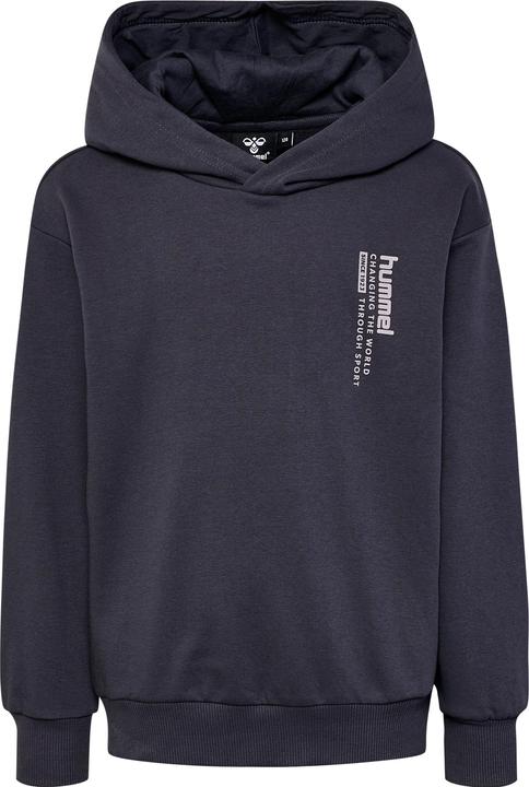 Image du produit hummel hmlDANTE HOODIE (134)
