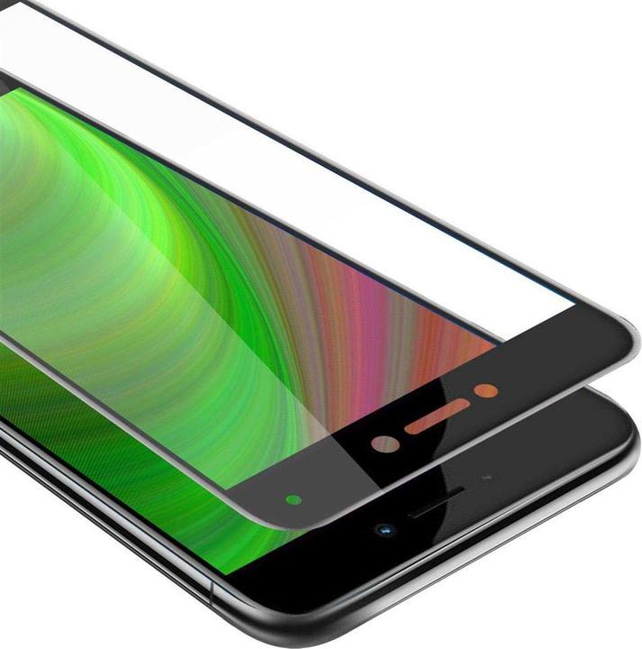 TRANSPARENT with BLACK