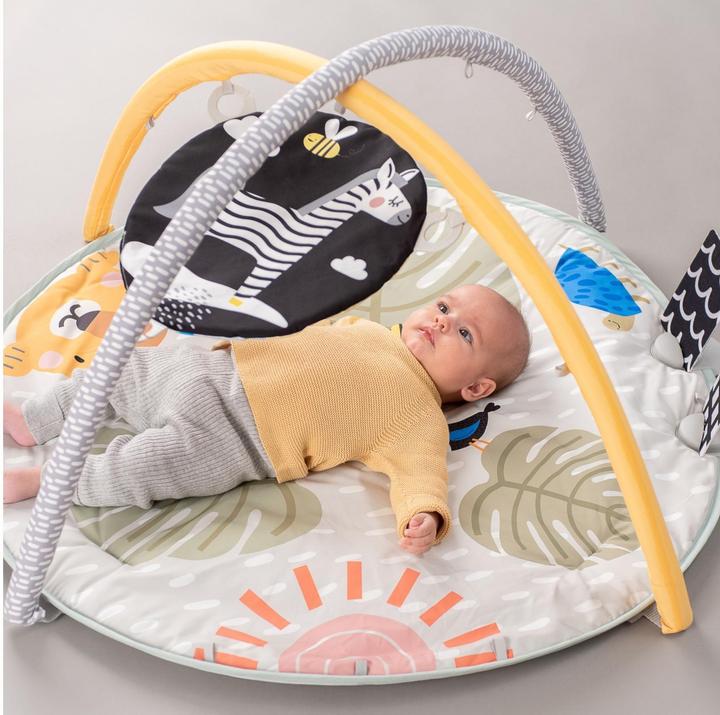 Image du produit Taf Toys Savannah