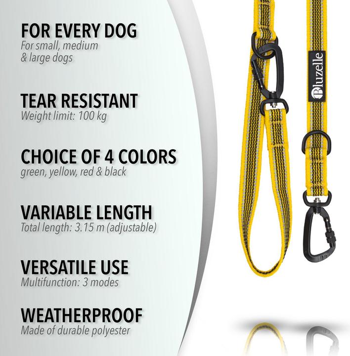 Productafbeelding Bluzelle Hondenriem 3m, dubbele riem met karabijnhaak, verstelbaar (XL, Hond, Loop)