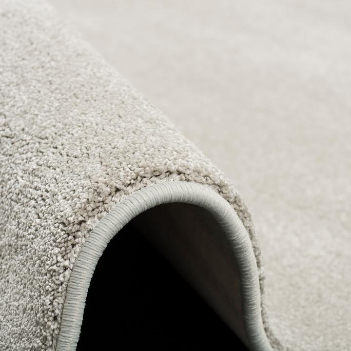 Produktbild Snapstyle Hochflor Luxus Velours Teppich Touch (80 x 320 cm)