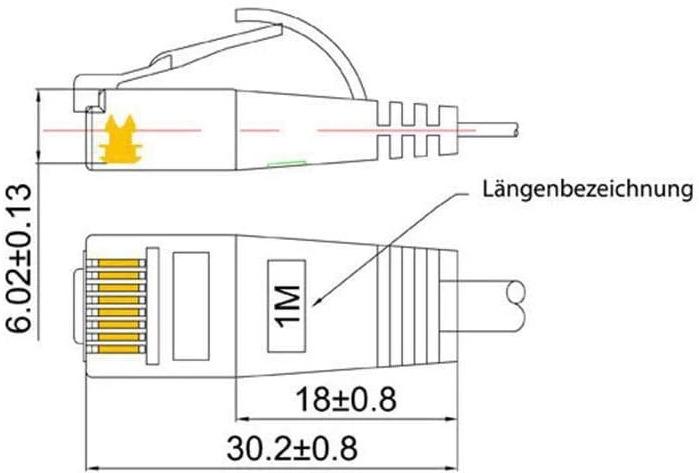 Image du produit Wirewin Câble réseau (UTP, CAT6, 5 m)