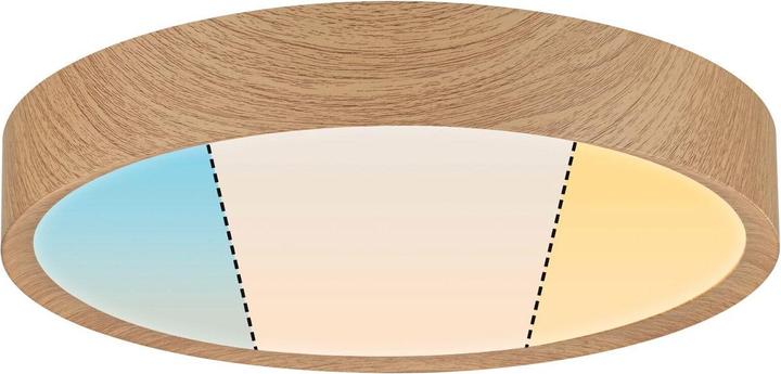Actual product image Paulmann LED ceiling light (2400 lm)