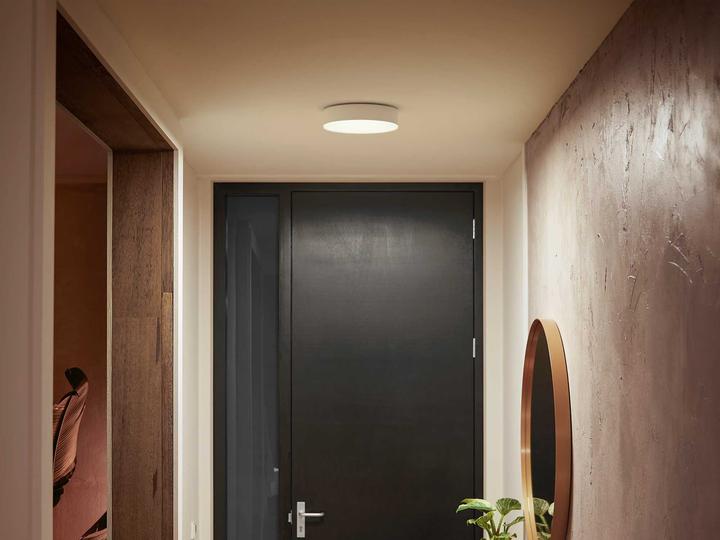 Actual product image Philips Hue White Ambiance Enrave (1200 lm)