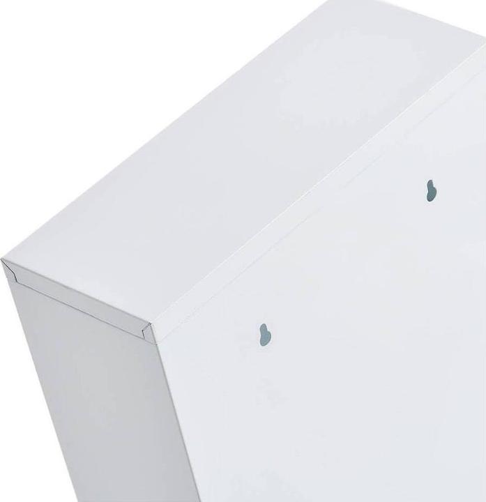 Image du produit Zeller Present armoire à pharmacie (30 x 12 x 60 cm)