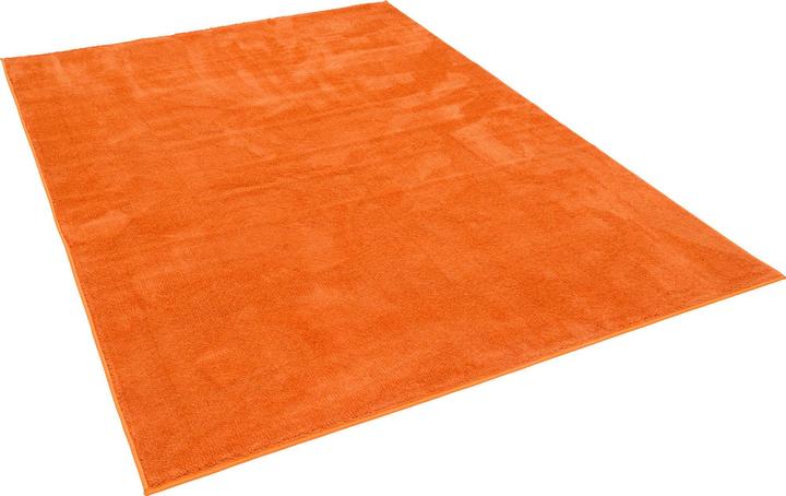 Produktbild Pergamon Luxus Super Soft Hochflor Langflor Teppich Melia (140 x 200 cm)