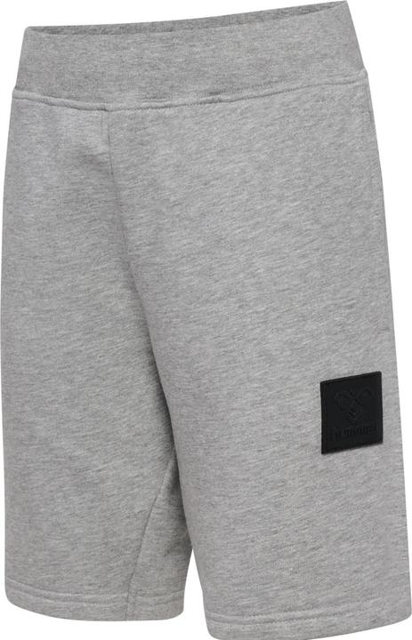Image du produit hummel Hmlclean Adjustable Shorts (146)
