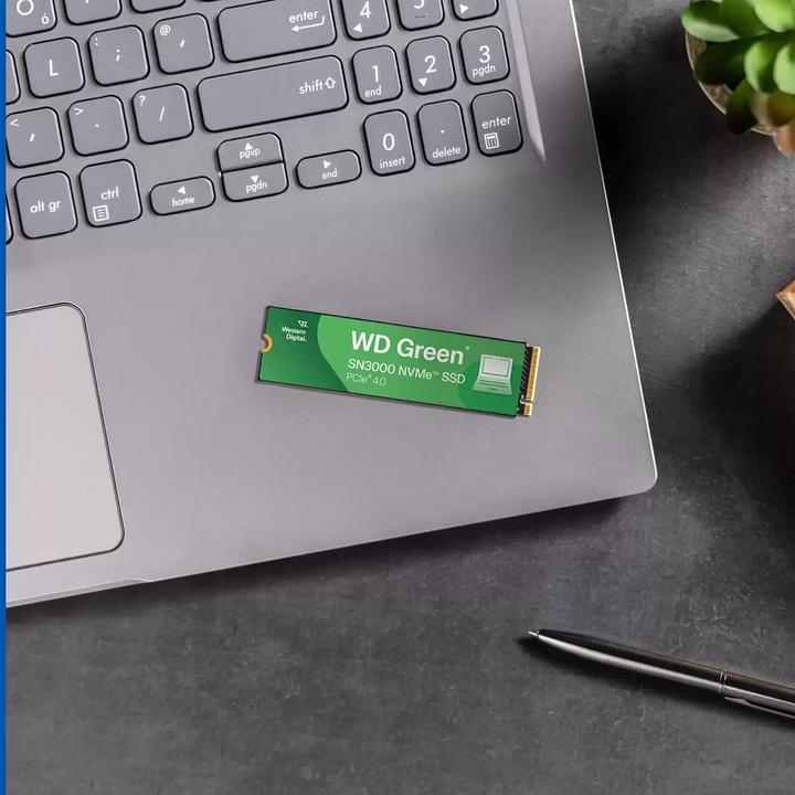 Produktbild WD Green SN3000 (500 GB, M.2 2280)