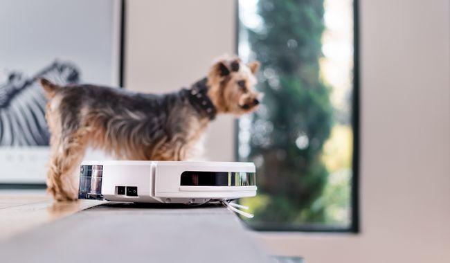 Immagine prodotto Eziclean Aqua Xpert S450 Animal (Robot aspirapolvere)