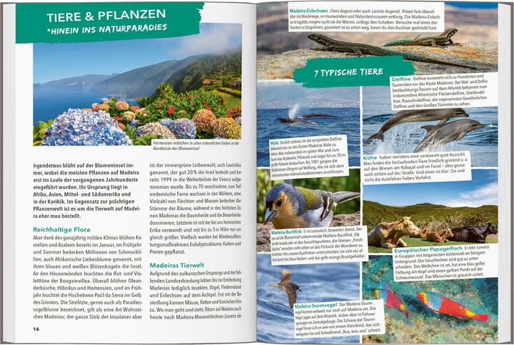 Actual product image OUTDOOR GUIDE Reiseführer Madeira (German, Sven Bremer, 2024)