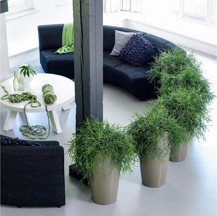 Immagine prodotto Lechuza RONDO Premium. (40 cm)