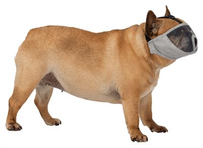 Image du produit Trixie Muselière S-M 24cm (S, M, Chien, Sport canin)