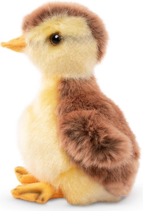Actual product image Living Nature Stockentenküken