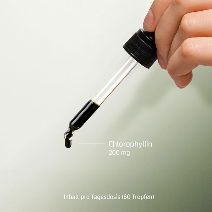 Immagine prodotto Effective Nature Clorofilla (1 Pezzo/i, Liquido)