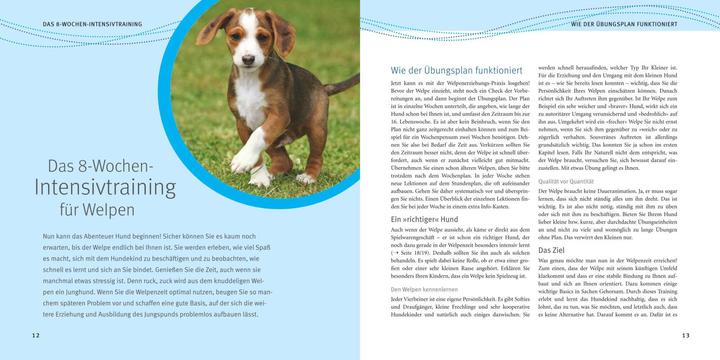 Immagine prodotto Welpen-Erziehung (Tedesco, Katharina Schlegl-Kofler, 2010)