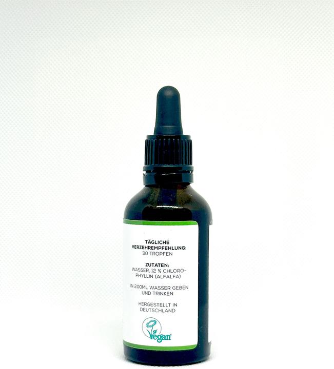 Produktbild Kraftgras Chlorophyll Tropfen aus Alfalfa (1 Stück, Tropfen)