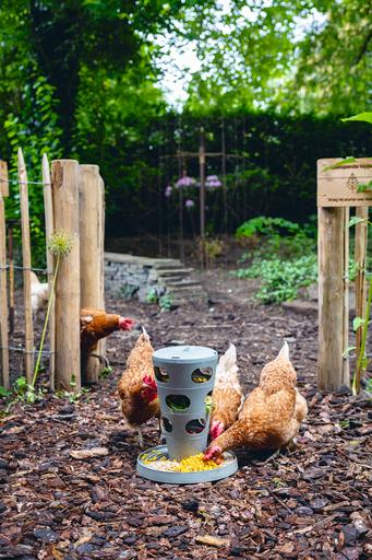 Actual product image Beeztees Feeding Station Chickens Feeding Tower, Grey