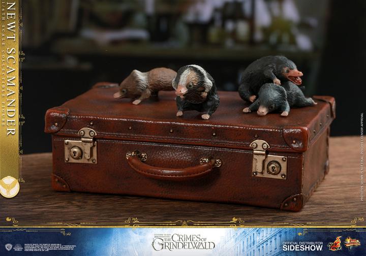 Actual product image Hot Toys Fantastic Beasts 2 "Newt Scamander" 1/6 Scale Figure