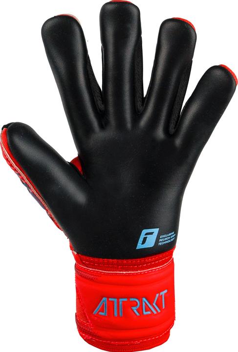 Image du produit Reusch Attrakt Duo (9.5)