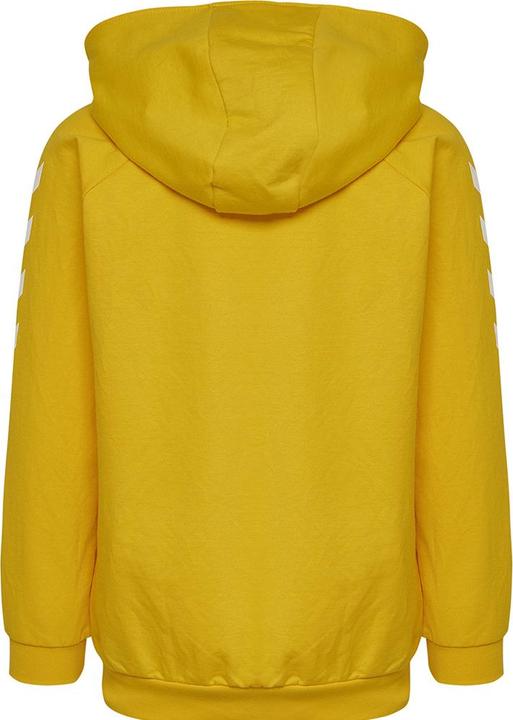 Actual product image hummel Go Kids Cotton Zip Hoodie (164)