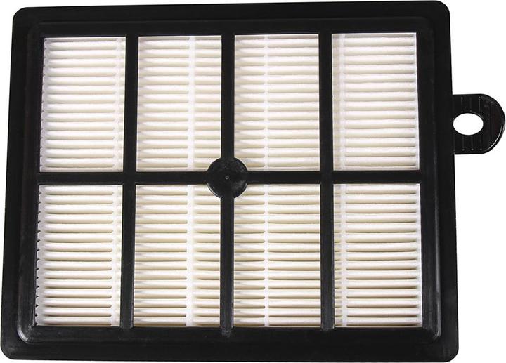 Actual product image Flickbee HEPA 13 Vacuum Cleaner Filter FC8031 for Philips Performer, Electrolux Clario