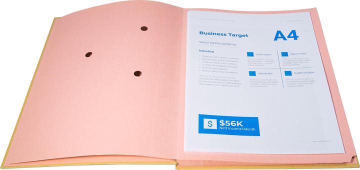 Image du produit Exacompta Dossiers de signatures (A4, 1 x)
