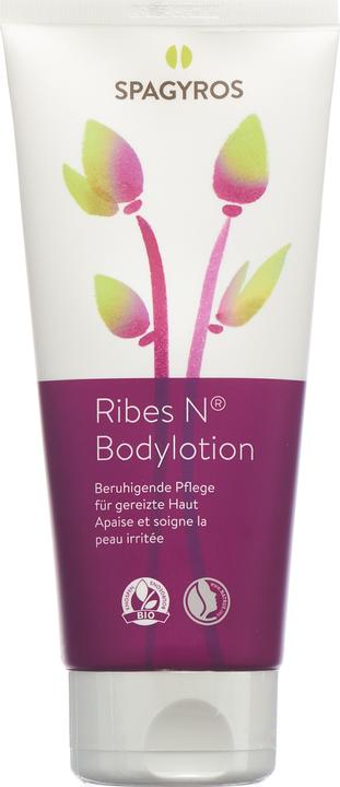 Image du produit Spagyros Ribes N Bodylotion lot (Crème pour le corps, 200 ml)