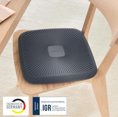 Productafbeelding Leitz Ergo Active balanskussen (36 x 36 x 5,5 cm)