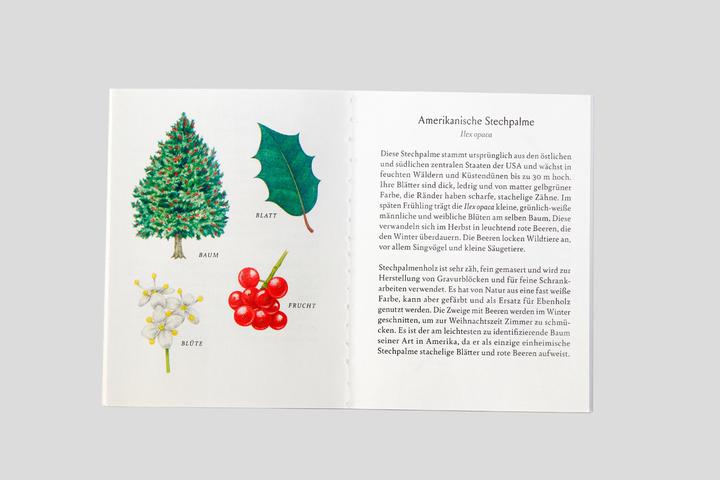 Image du produit 441876 - Arbre-Familles - Jeu de cartes, 3-8 joueurs, à partir de 6 ans (édition DE) (Allemand)