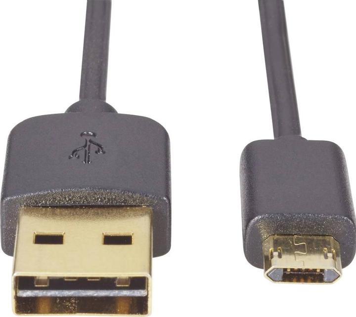 Image du produit Renkforce Câble USB duplex (1 m, USB 2.0)