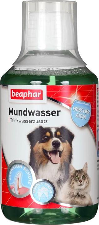 beaphar Mund- und Zahnpflege für Hunde und Katzen 250 ml (Hund, Katze, 250 ml)