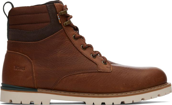 Toms Ashland 2.0
