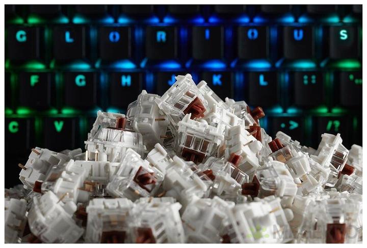 Actual product image Glorious PC Gaming Race Gateron Brown Switches