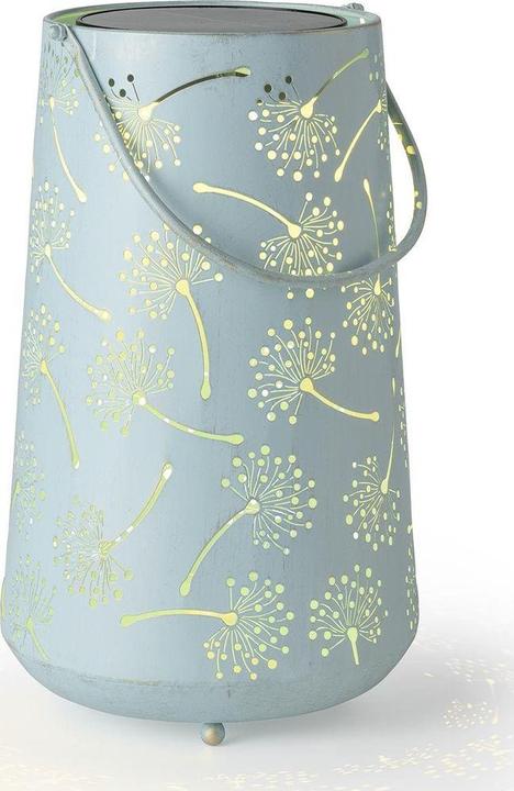 Actual product image STT Antic Dandelion