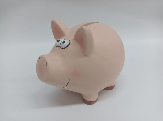 Immagine prodotto Roost Cassa di risparmio Pig (18,5 x 14,5 x 15,5 cm)