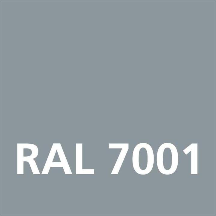 Immagine prodotto Dupli-Color Vernice acrilica lucida RAL 7001 grigio argento (Grigio argento, 0.40 l)