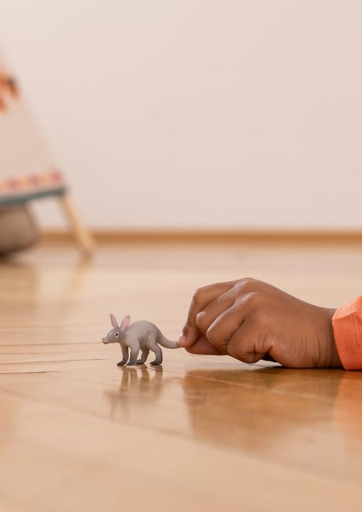 Image du produit Schleich Porcs-terreux