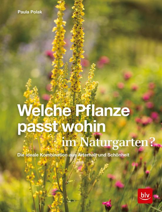 Actual product image Welche Pflanze passt wohin im Naturgarten? (German, Paula Polak, 2020)
