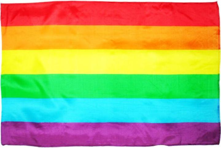 Actual product image - Lgbt Medium Flag