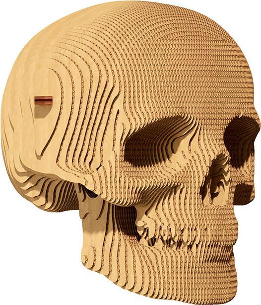 Immagine prodotto Cartonic Cranio - Modello di cartone 3D