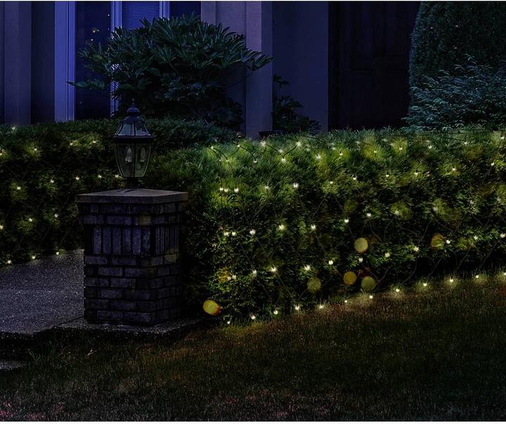 Image du produit Sygonix Filet lumineux (2 m)