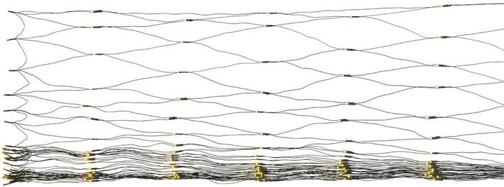 Image du produit Sygonix Filet lumineux (2 m)