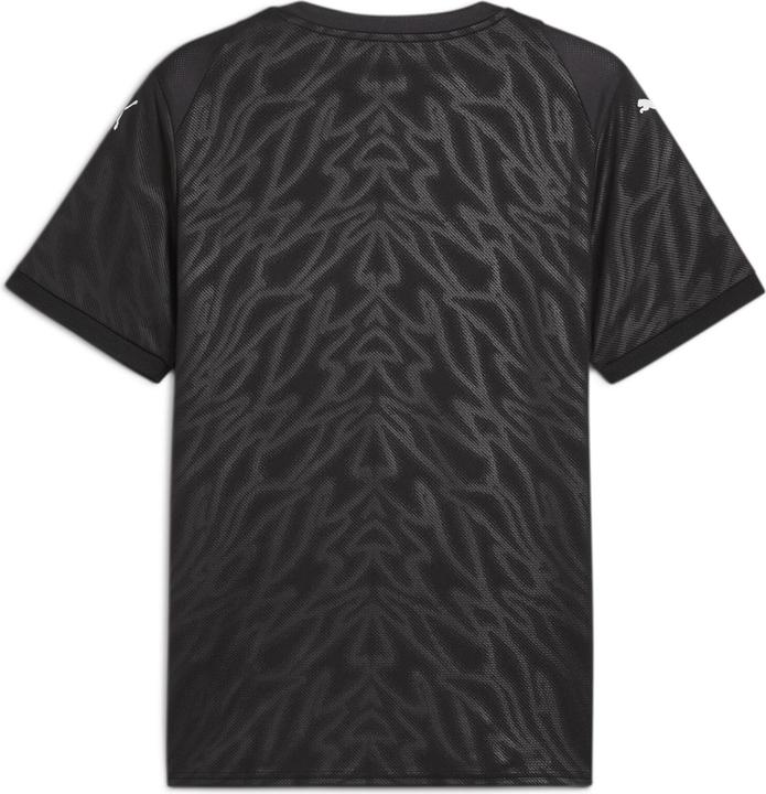 Actual product image Puma teamCUP Jersey (3XL)