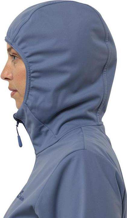 Image du produit Jack Wolfskin Feldberg Hoody W (S)