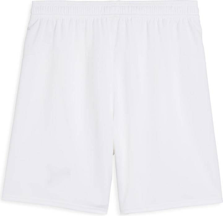 Actual product image Puma FPF Shorts Replica (XXL)