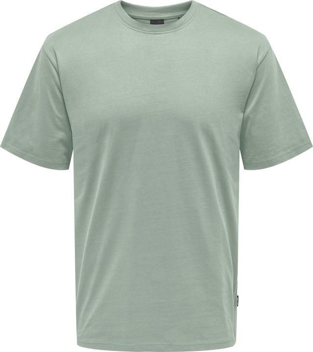 Only & Sons Onsfred Life Rlx Ss Tee Noos