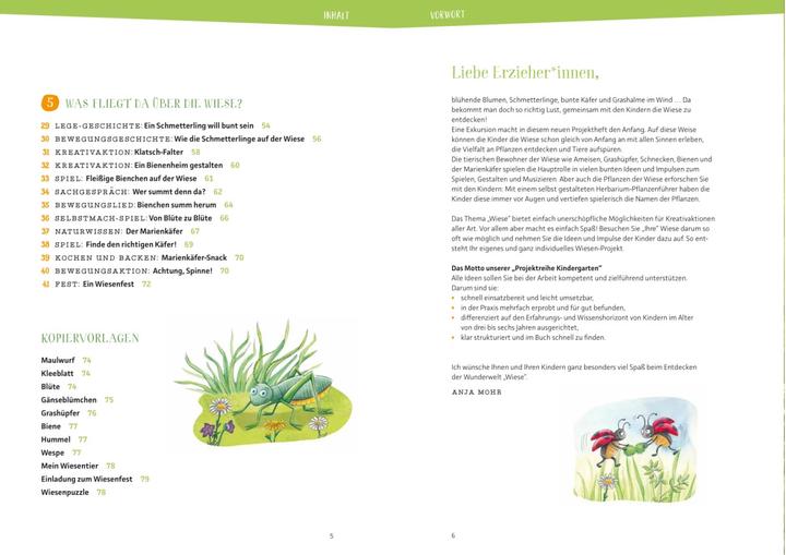 Image du produit Projektreihe Kindergarten - Die Wiese (Allemand, Anya Moor, Rebecca Meyer, 2023)