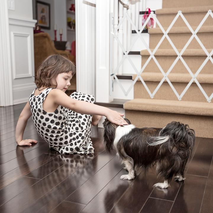 Immagine prodotto Relaxdays Barriera per cani (3 cm)