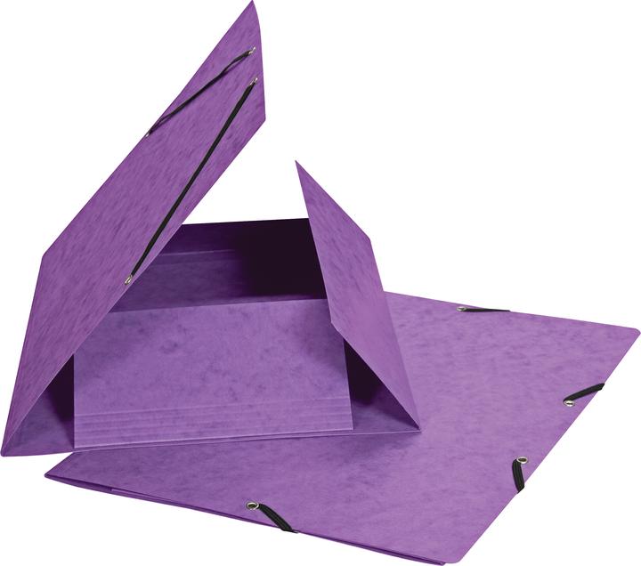 Actual product image Biella Rubber band folder (A4, 1 x)