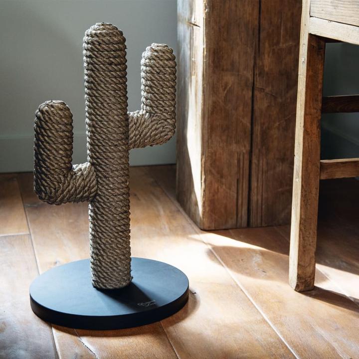 Actual product image Designed by Lotte Cactus (60 cm, Brown, Black, Dark brown)